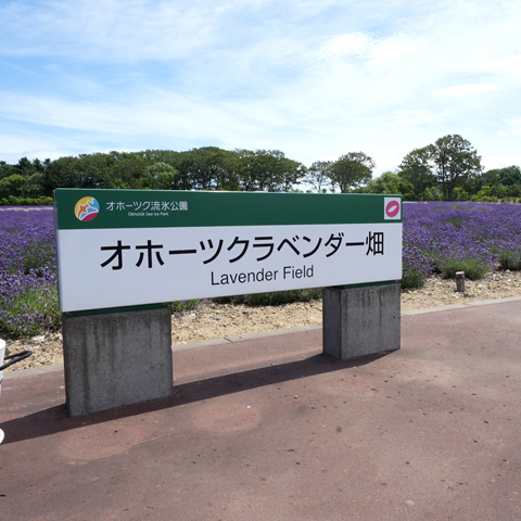 【紋別市/Monbetsu City】北海道立オホーツク流氷公園/観光
